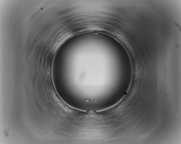 X0000102821281200808181238