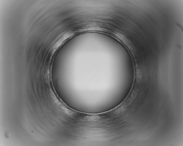 X0000102821282200808181237