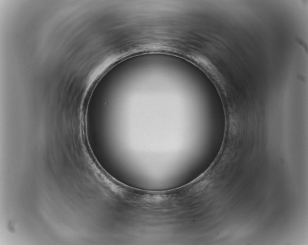 X0000102821286200808181237