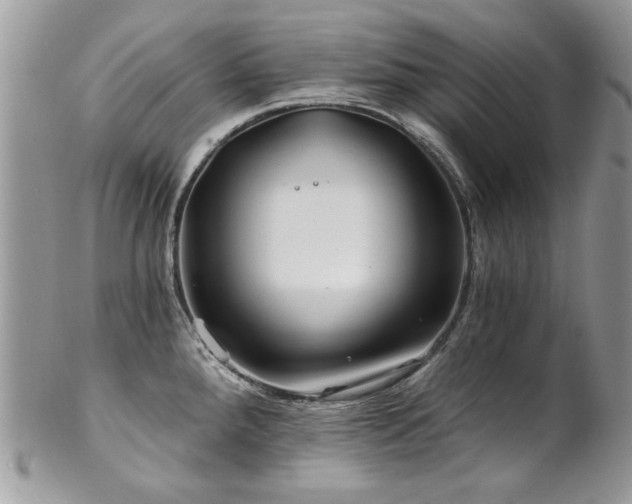 X0000102821288200808181237