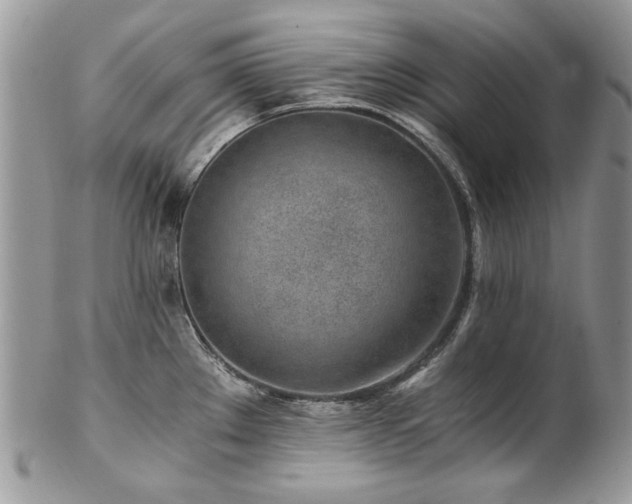 X0000102821289200808181237