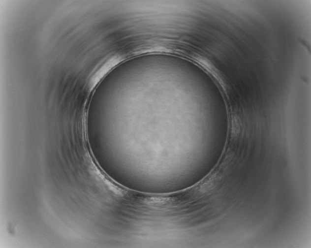 X0000102821290200808181237