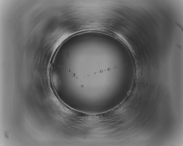 X0000102821291200808181237