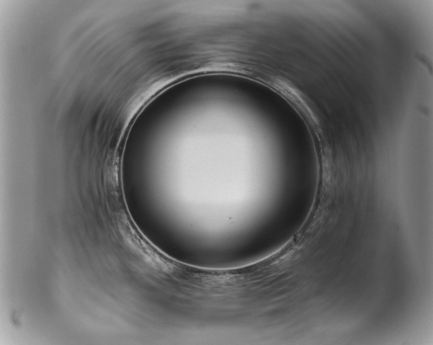 X0000102821292200808181237