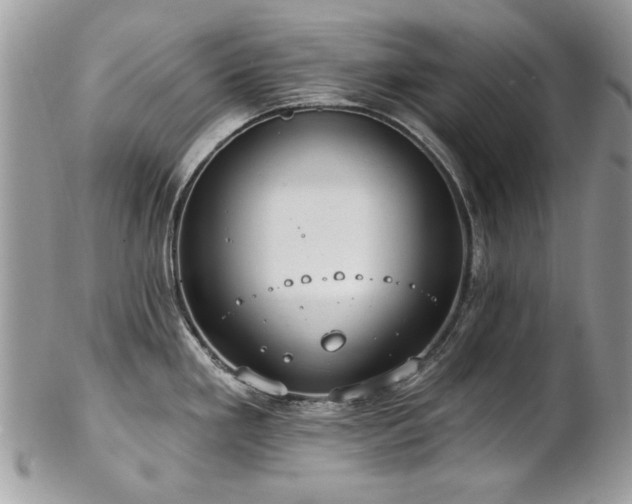 X0000102821293200808181237
