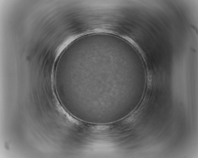 X0000102821294200808181237