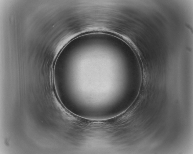 X0000102821295200808181237