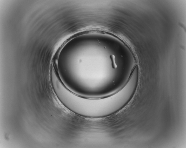 X0000102821296200808181237
