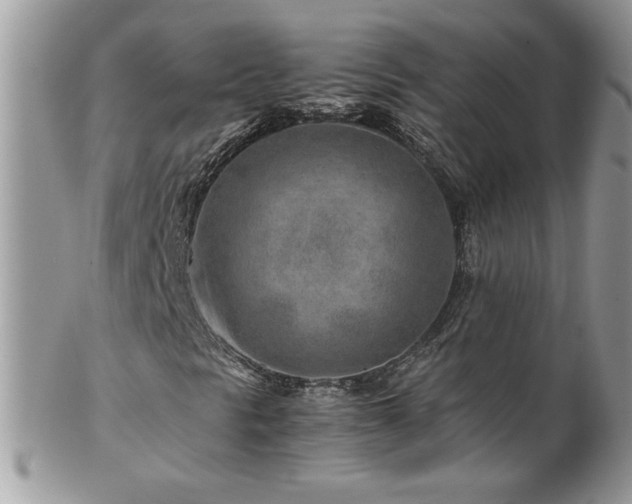X0000102821297200808181237