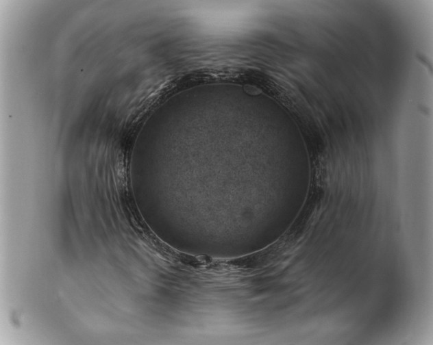 X0000102821298200808181237