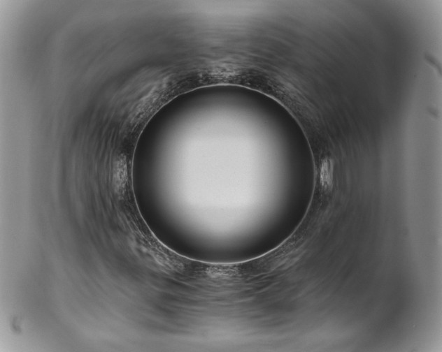 X0000102821299200808181237