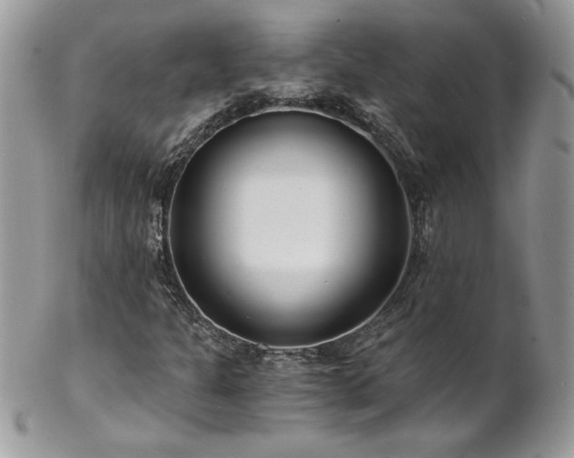 X0000102821301200808181237