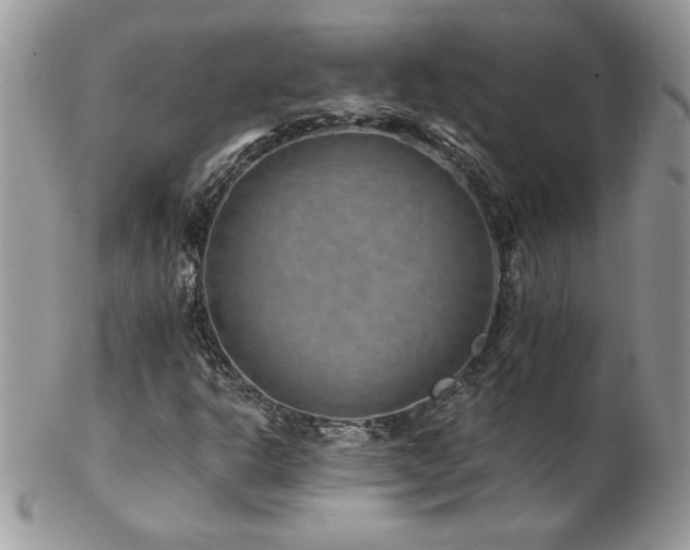 X0000102821302200808181237