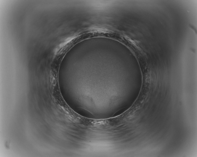 X0000102821303200808181237