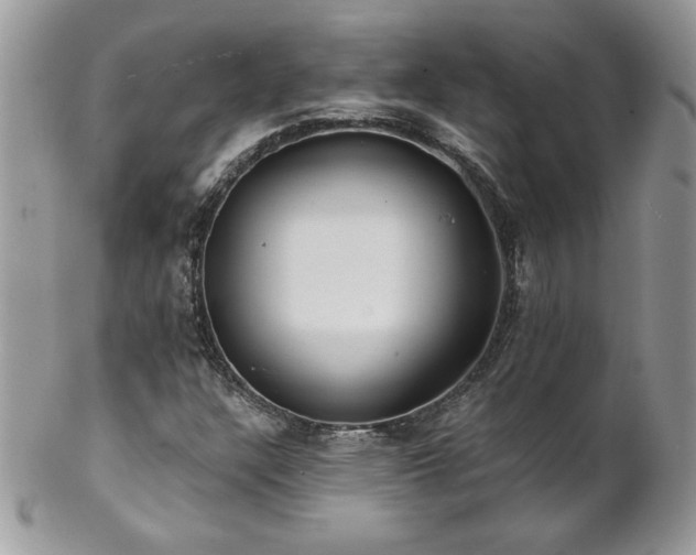 X0000102821304200808181237