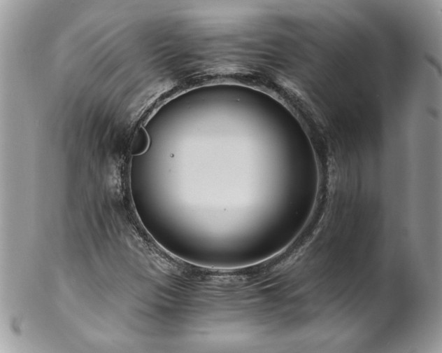 X0000102821305200808181237