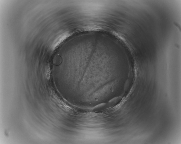 X0000102821306200808181237