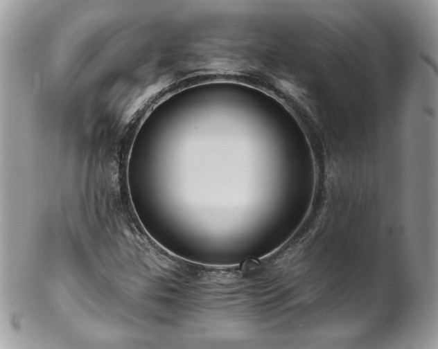X0000102821307200808181237