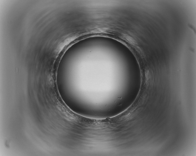 X0000102821308200808181237