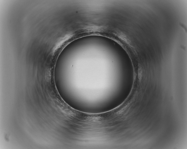 X0000102821309200808181237