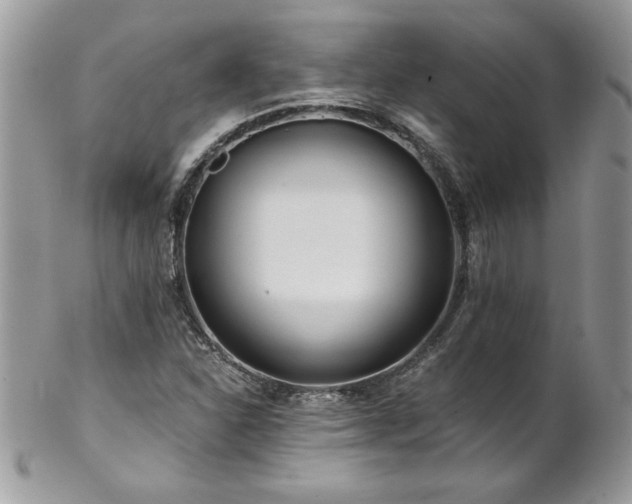 X0000102821310200808181237