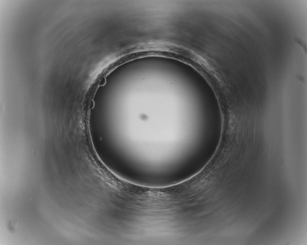 X0000102821312200808181237