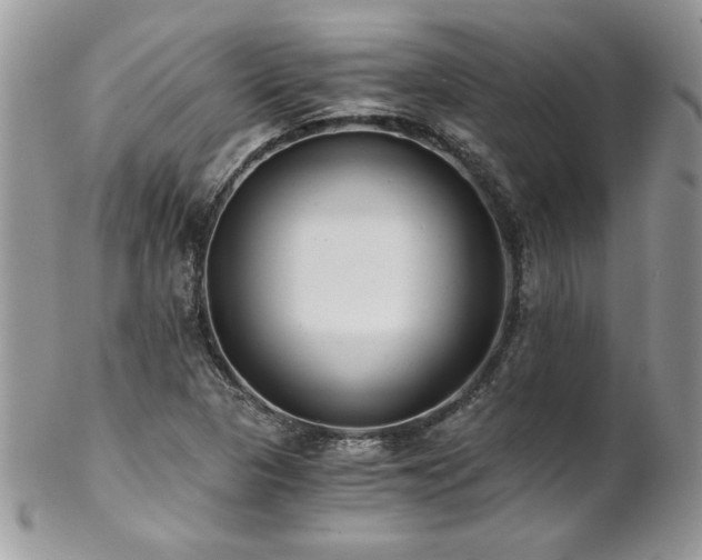 X0000102821313200808181237