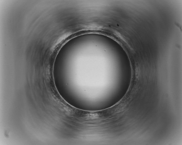 X0000102821315200808181237