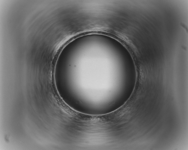 X0000102821316200808181237