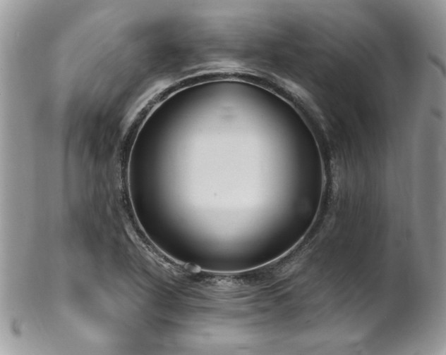X0000102821318200808181237