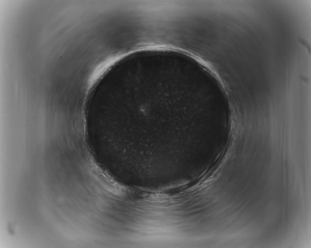 X0000102821319200808181237