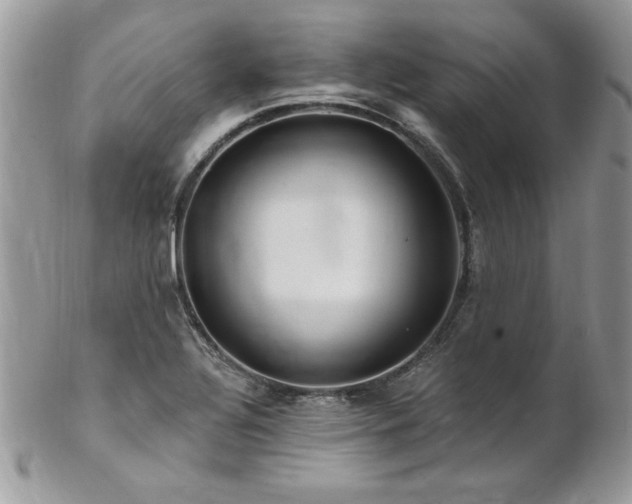 X0000102821320200808181237