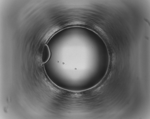 X0000102821321200808181237