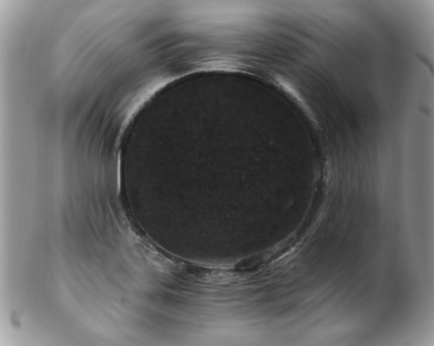 X0000102821323200808181237