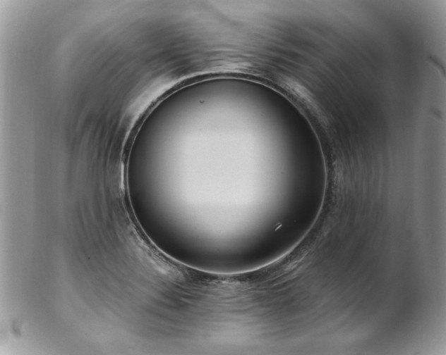 X0000102821324200808181237