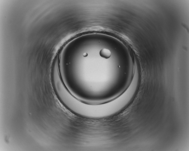X0000102821326200808181237