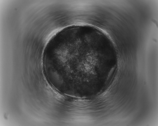 X0000102821327200808181237