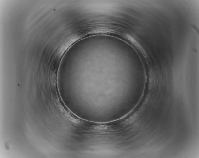 X0000102821329200808181237