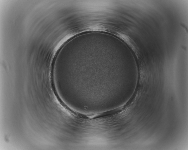 X0000102821331200808181237
