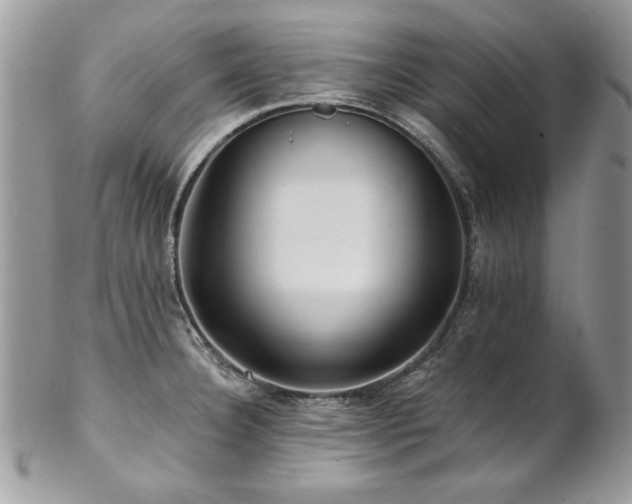 X0000102821332200808181237