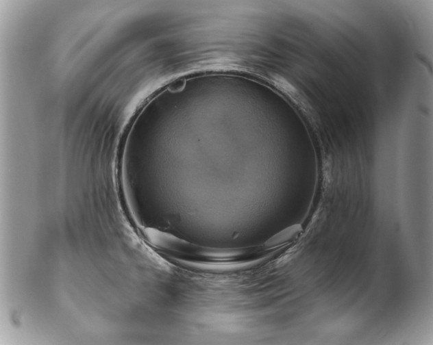 X0000102821334200808181237