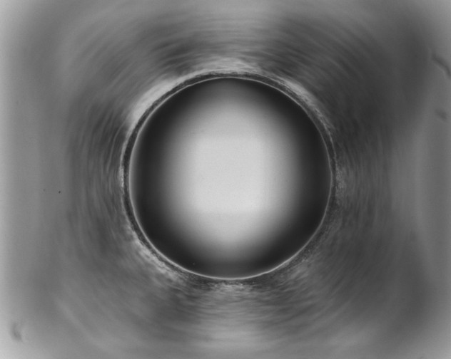 X0000102821335200808181237