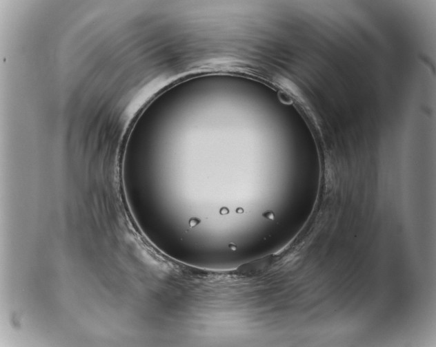 X0000102821336200808181237