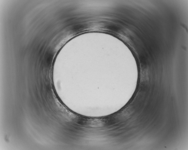 X0000102821338200808181237