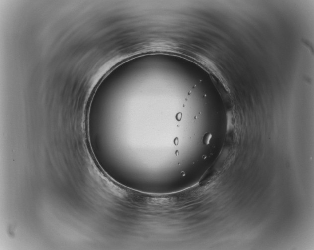 X0000102821339200808181237