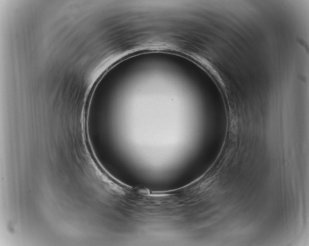 X0000102821343200808181237