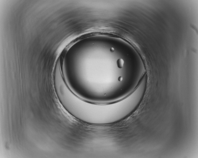 X0000102821344200808181237
