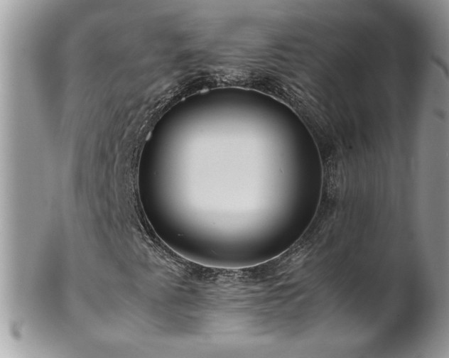 X0000102821345200808181237