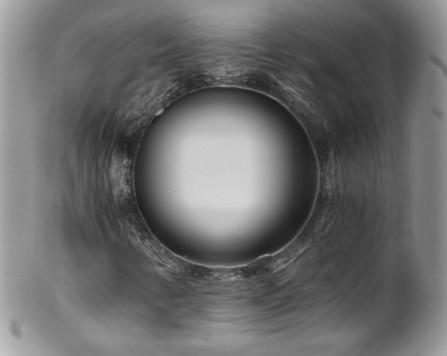 X0000102821346200808181237