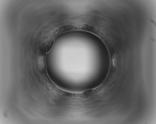 X0000102821347200808181237